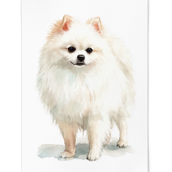 Watercolor Pomeranian Dog Portrait Art Print – Unframed Fine Art Poster - Picture 2 of 5